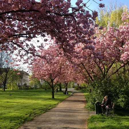 Apartment Loft- Direkt Am Falderndelft - Naehe Innenstadt *